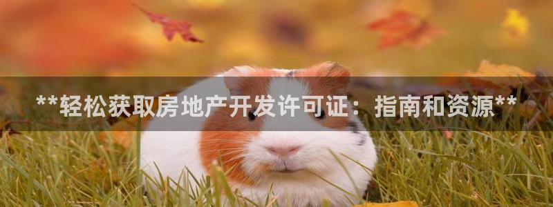 永利集团简介