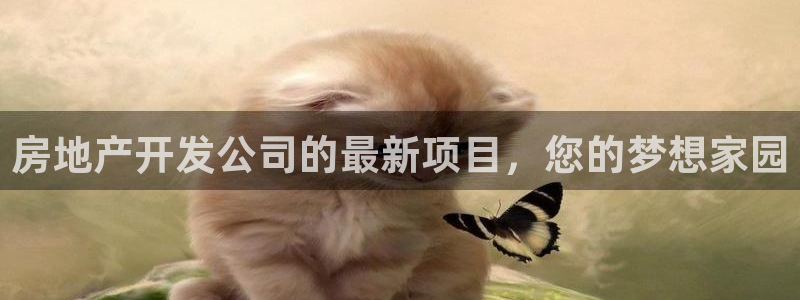 永利网是干什么的,能挣到钱吗知乎