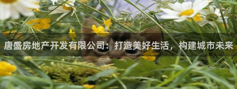 永利水泥制品厂