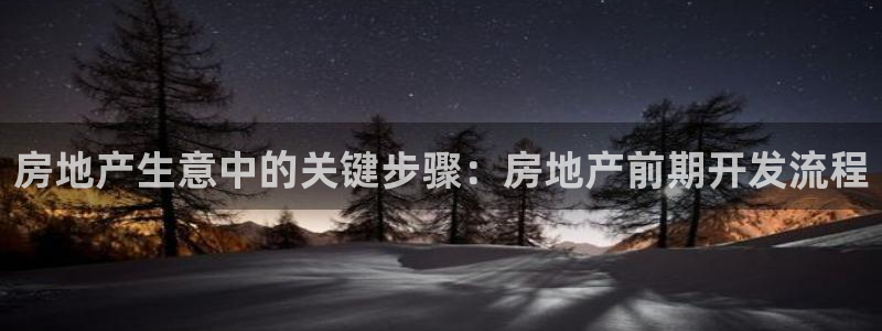 永利 陈志玲