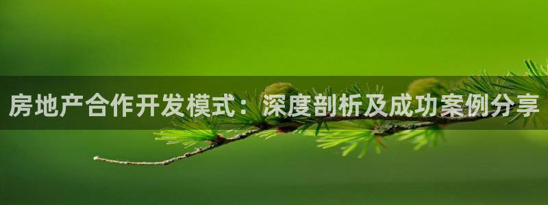 永利包装有限公司
