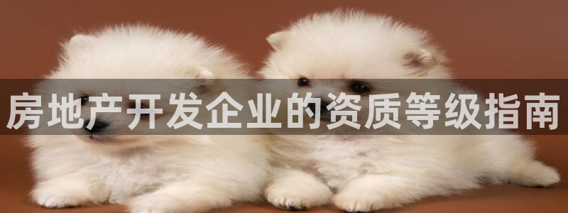 永利睹钱