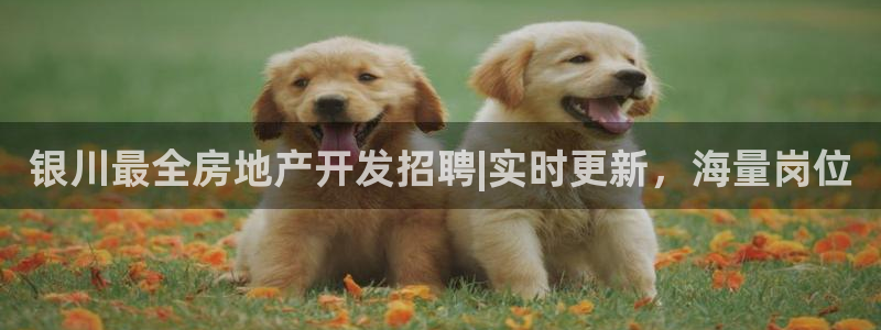 永利股份是什么板块股票?