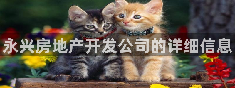永利房地产有限公司怎么样