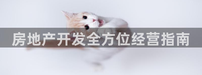 永利饭店老板是谁