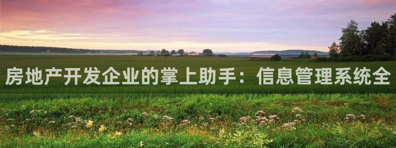 永利网是受国家法律保护吗