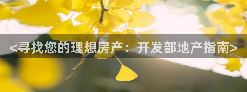 永利集团董事长
