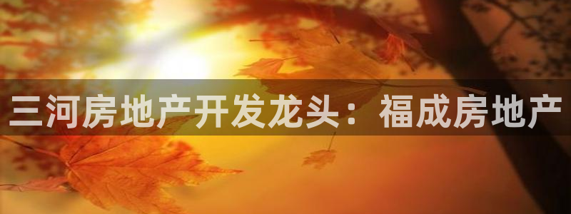 永利杯掼蛋