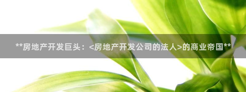 永利 老板
