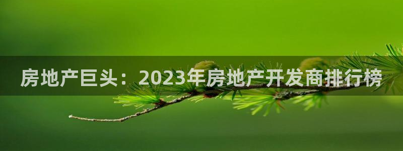 永利带业怎么样