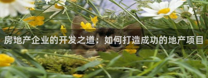 谁知道永利的网址
