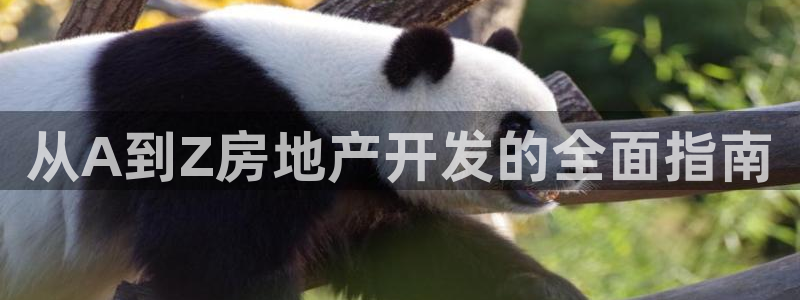 永利来织带