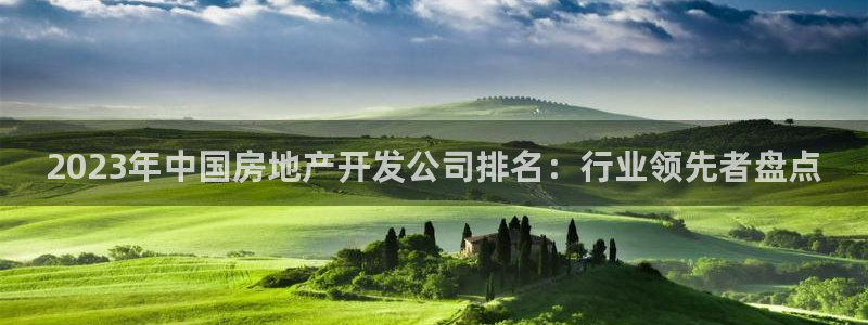 永利皮带型号说明书图片