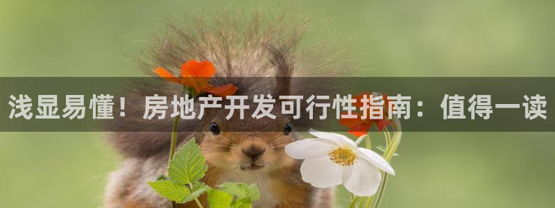 永利皇府黄立青个人资料