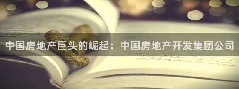 澳门永利集团简介