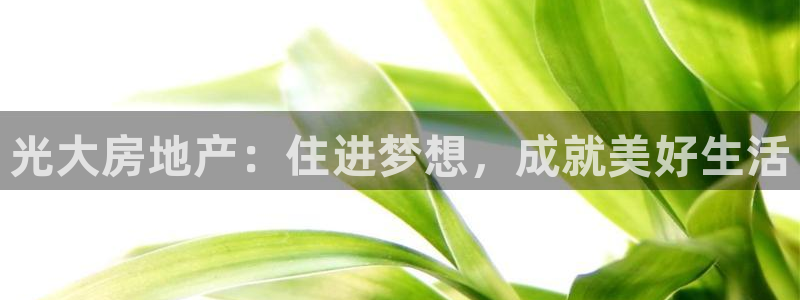 永利官网误乐域一个币多少钱