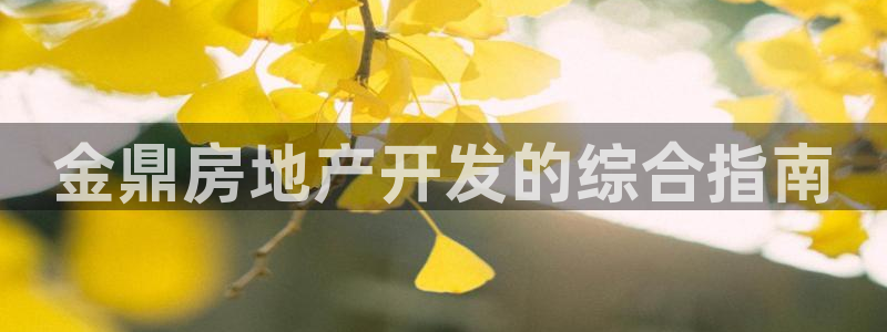滨州永利篮球俱乐部老板