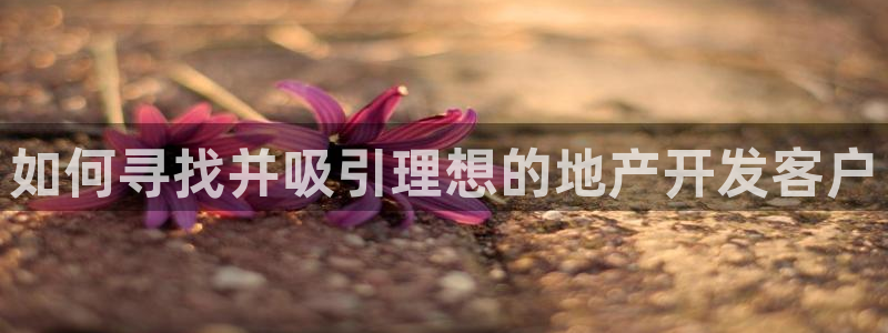 永利贵宾厅出不了款怎么办