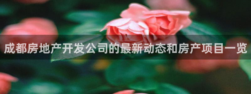 永利集团董事长什么级别