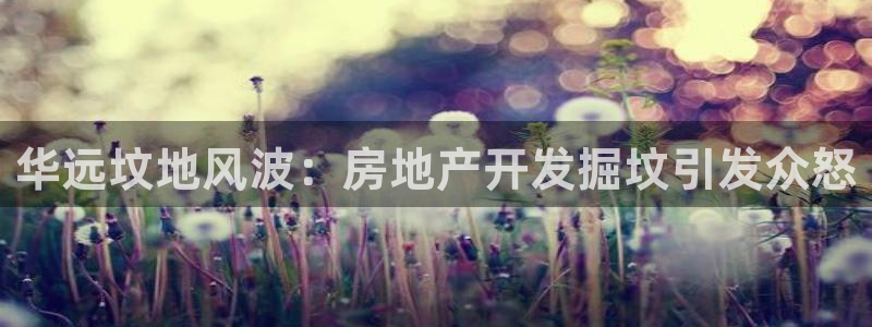 永利皮带型号说明书