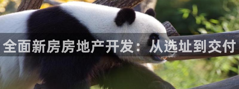 永利股1128