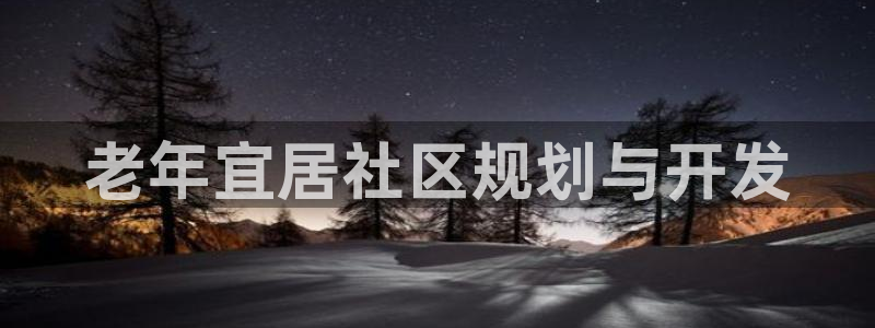 永利地产工程有限公司
