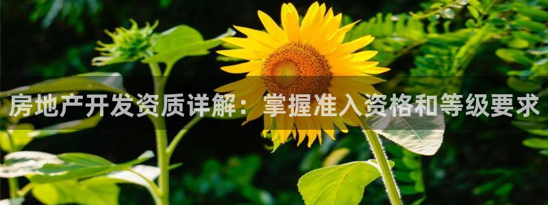 永利家具厂