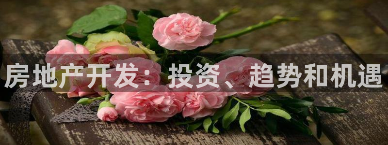 永利技术