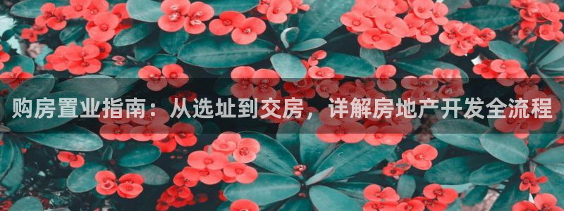 永利属于哪个集团