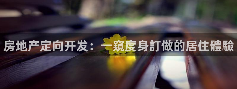 永利地产工程有限公司