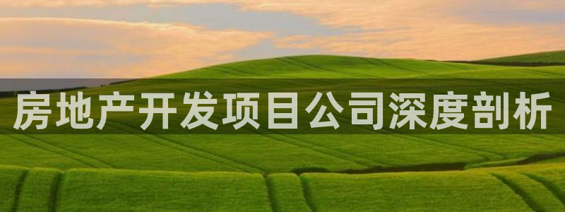 永利股份产品介绍