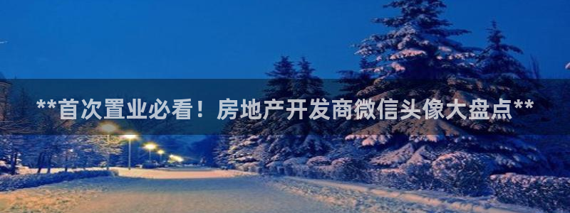 永利带业高管人员