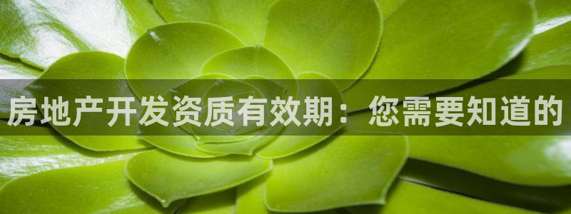 永利官网查询系统