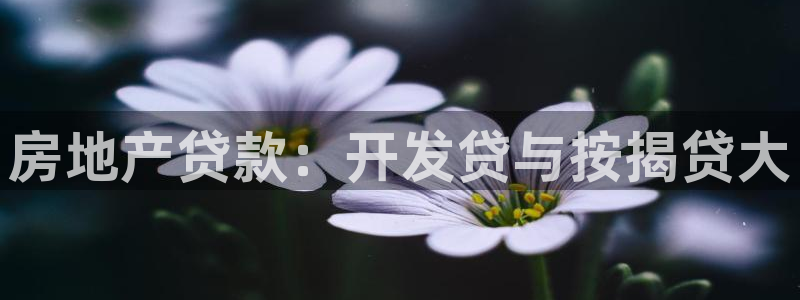 永利信誉网址
