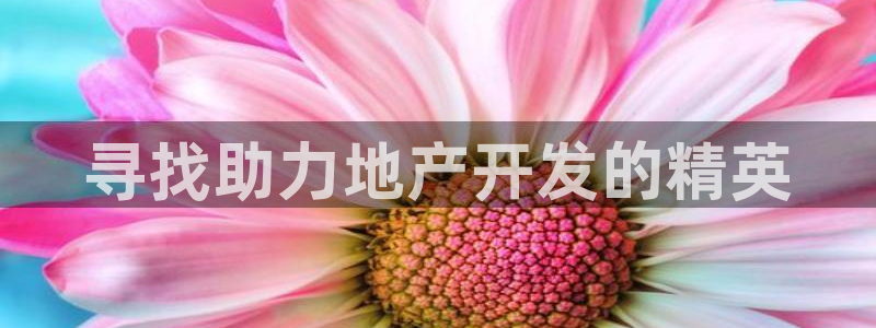 永利房地产开发有限公司