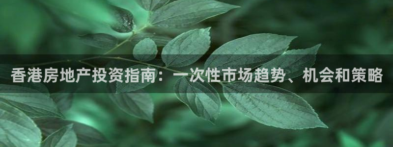 永利制带合作的公司