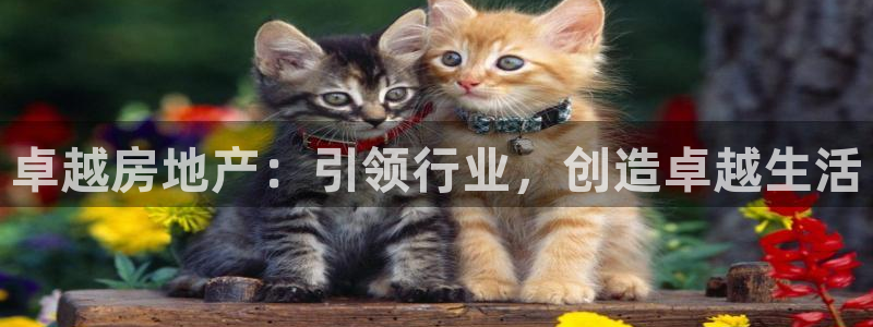永利网怎么了打不开