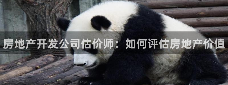 永利官网总站入口在哪