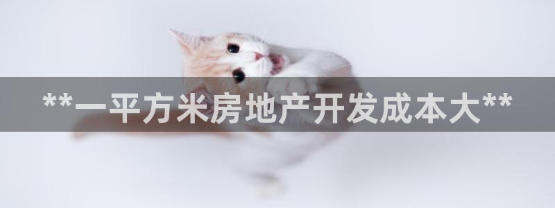 绍兴永利集团董事长