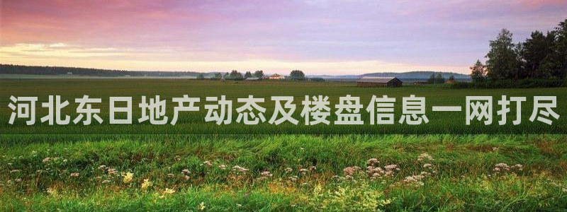 永利皮带报价