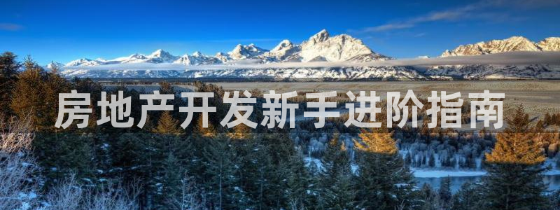 永利 老板