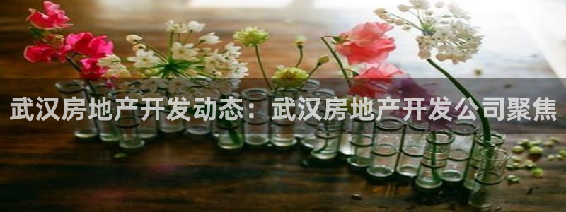 永利 陈志玲