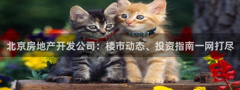 永利科技官网