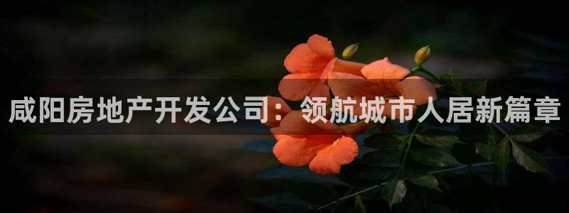 永利置业有限公司