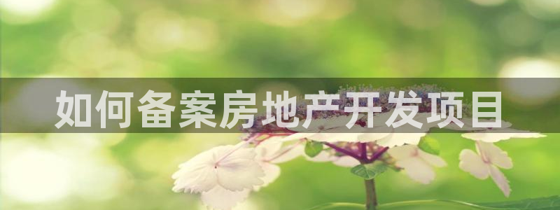 永利胶带批发部怎么样