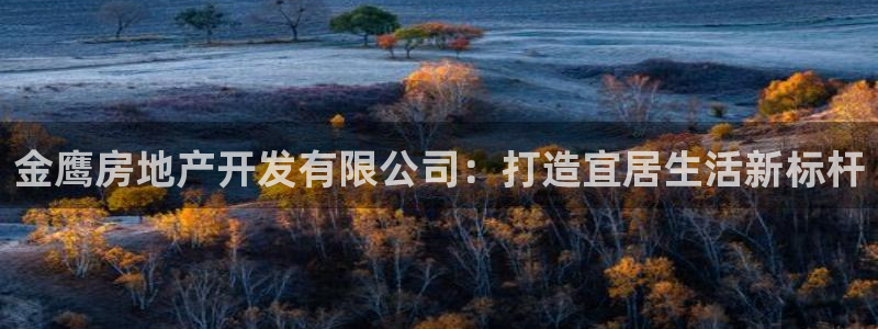 永利包装有限公司