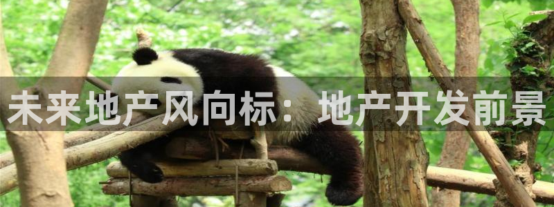 鄂尔多斯永利煤矿简介