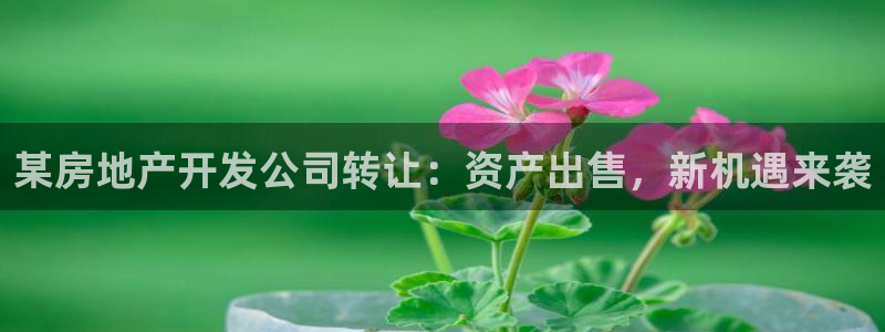 永利实业集团