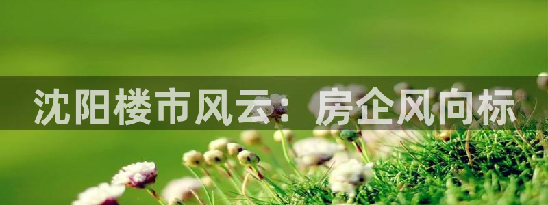 滨州永利篮球俱乐部老板