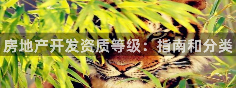 永利nev可靠吗